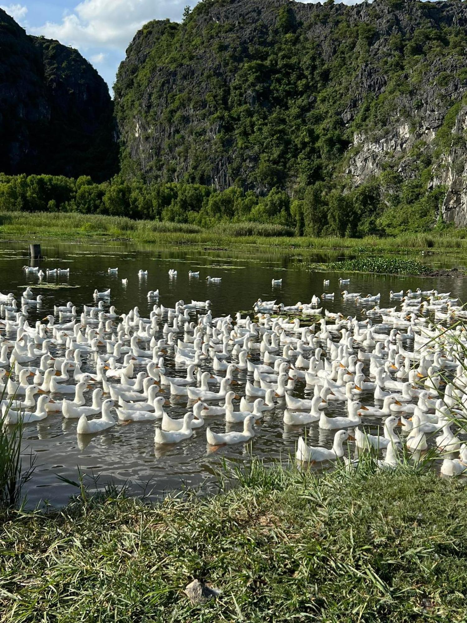 Nha Lua Homestay Ninh Binh Dış mekan fotoğraf