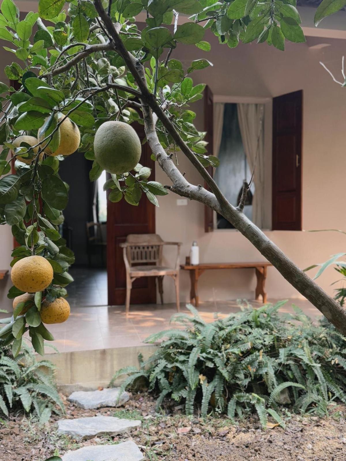 Nha Lua Homestay Ninh Binh Dış mekan fotoğraf